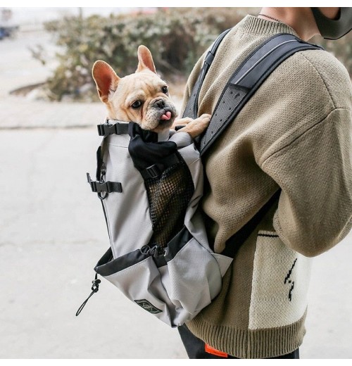 French Bulldog Backpack