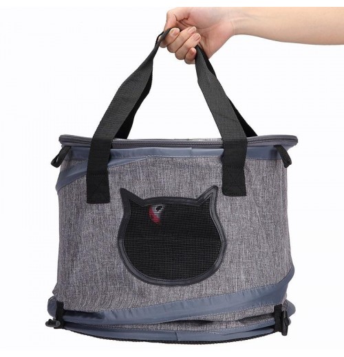 Large Collapsible Pet Carrier